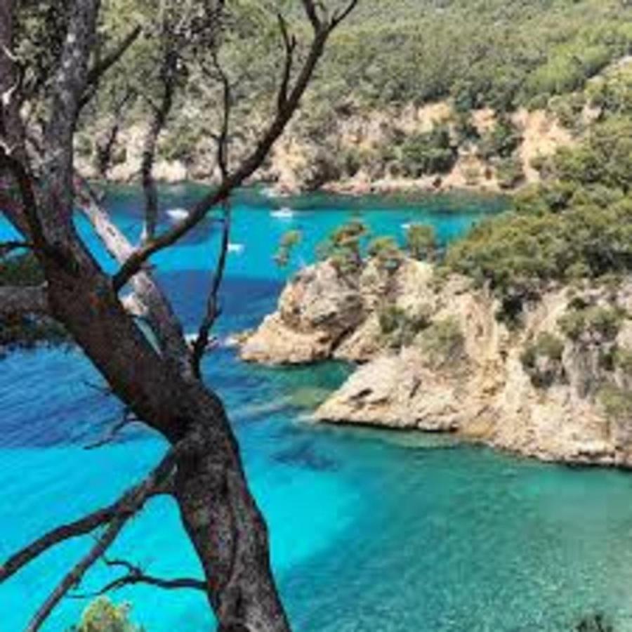 Le Retour Villa Saint-Cyr-sur-Mer Exteriör bild